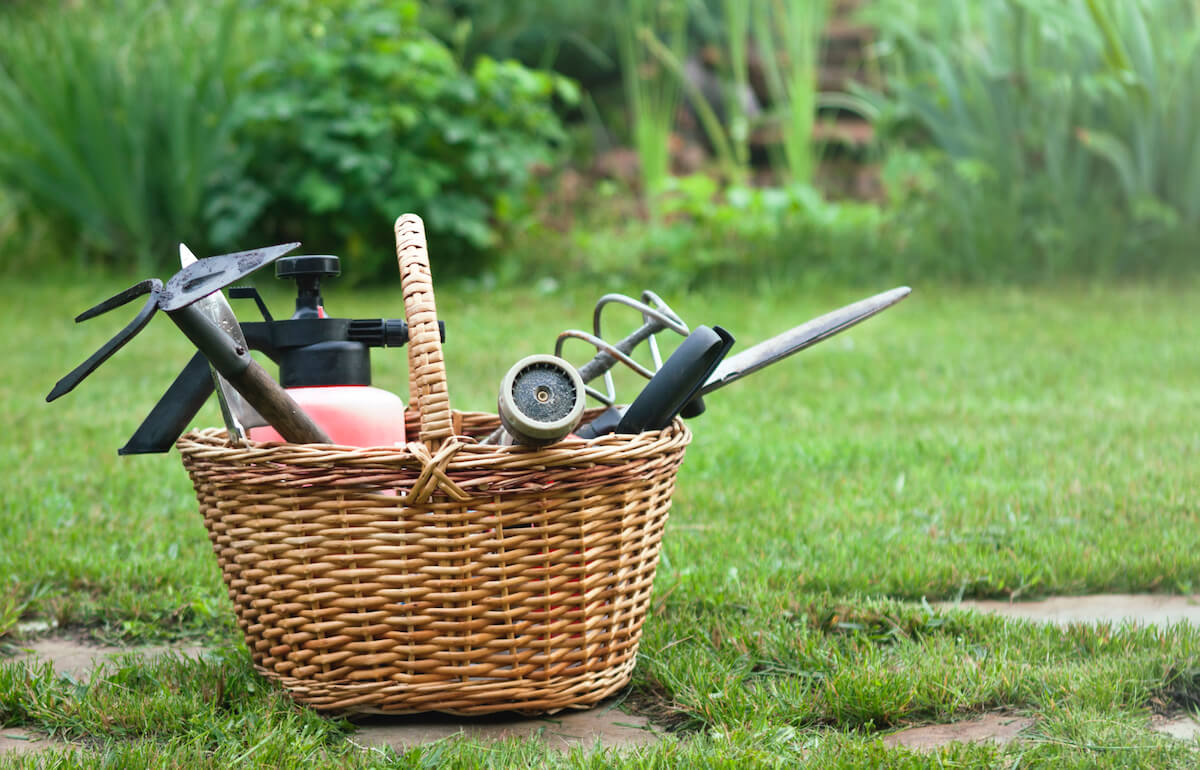 basket full of weeding tools