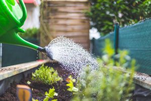 watering can on raised garden bed